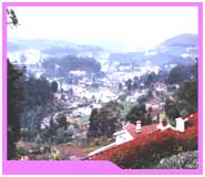 Tour to Ooty, India